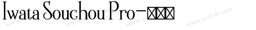 Iwata Souchou Pro字体转换